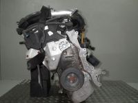 Motor ohne Anbauteile (Benzin) <br>AUDI A3 (8L) 1.8