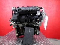 Motor ohne Anbauteile (Benzin) <br>RENAULT Twingo II (CN0) 1.1 16V  55 kW  75 PS (0