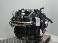 Motor ohne Anbauteile (Benzin) <br>OPEL Omega B 2.5 24V