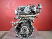 Motor ohne Anbauteile (Diesel) <br>NISSAN ALMERA TINO (V10) 2.2 DI