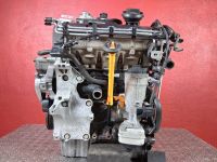 Motor ohne Anbauteile (Diesel) <br>SKODA OCTAVIA II (1Z3) 1.9 TDI