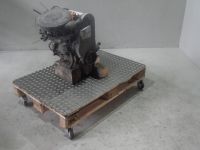 Motor ohne Anbauteile (Benzin) <br>VW Polo III (6N) 1.0